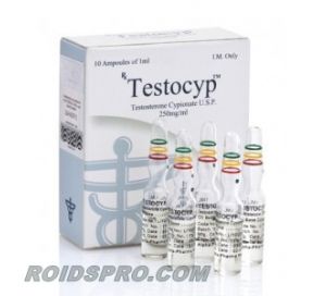 Testocyp for sale | Testosterone Cypionate 250mg/ml x 10 ampoules | Alpha Pharma